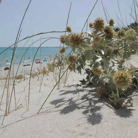 La Stradetta Bed and Breakfast La Caletta