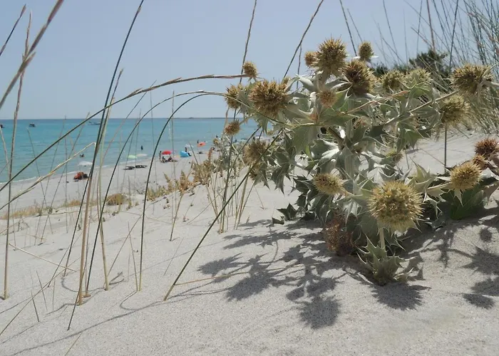 La Stradetta Bed & Breakfast La Caletta